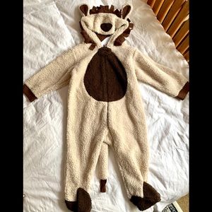 🌟Baby Lion 👶🏻 🍼 🦁 costume/pjs